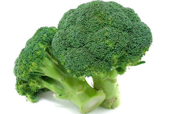 brocoli antioxydants