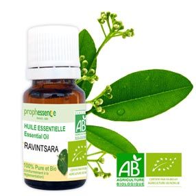 10-ravintsara-huile-essentielle