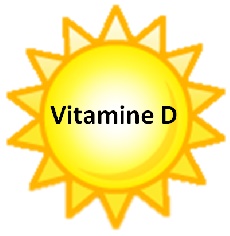 8-vitamine-d-lumiere